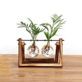 Vasos de Bulbos de Vidro com Soporte de Madera